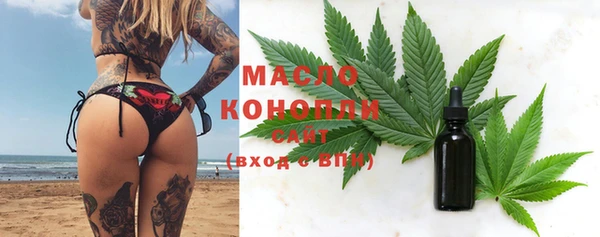 прущие грибы Аркадак