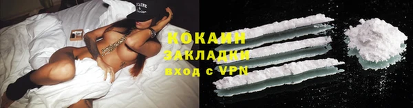 прущие грибы Аркадак