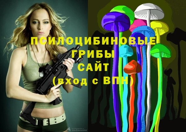 прущие грибы Аркадак