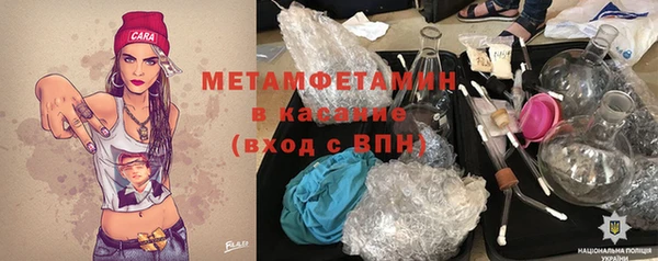 прущие грибы Аркадак