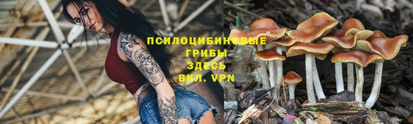 крисы Арсеньев
