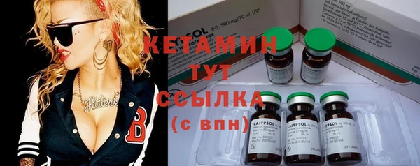 прущие грибы Аркадак