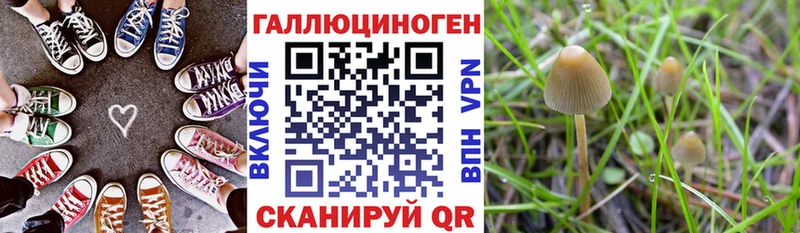 Купить закладки  Новодвинск  Галлюциногенные грибы GOLDEN TEACHER 