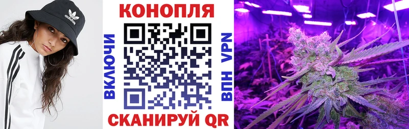 Купить  Новодвинск  Конопля индика 